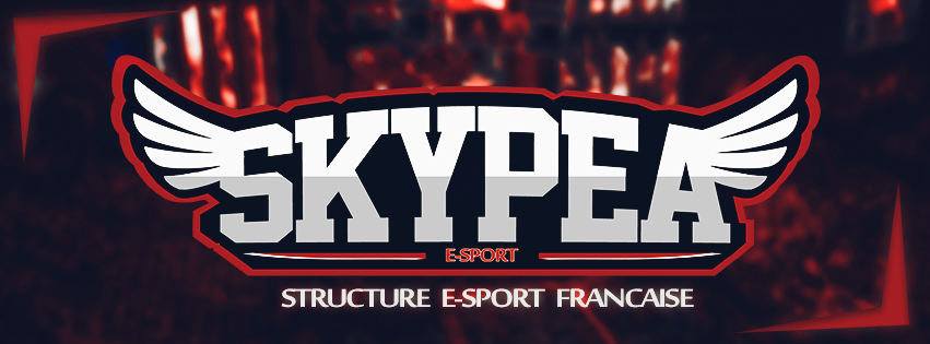 graphiste esport